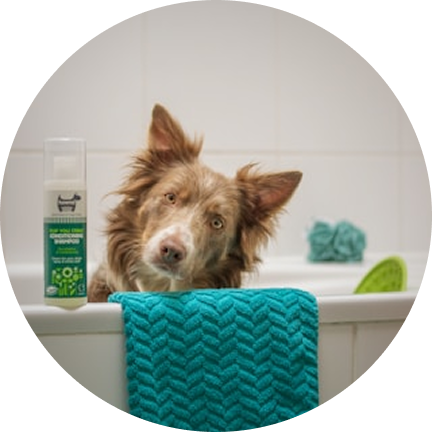 Bath & Care