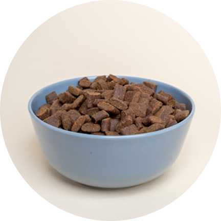 Pet Foods