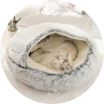 Beds & Blanket