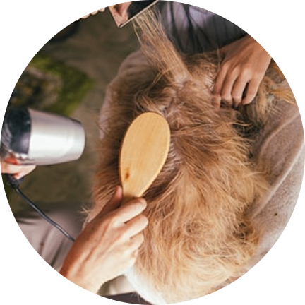 Grooming Supplies