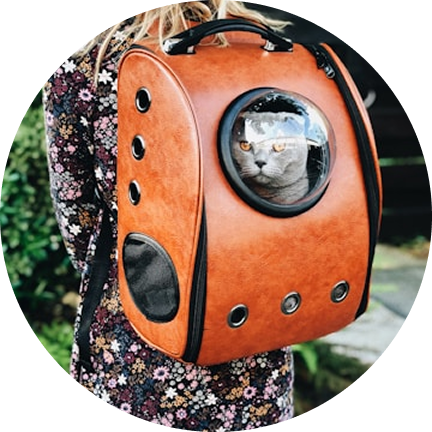 Travel & Outdoor