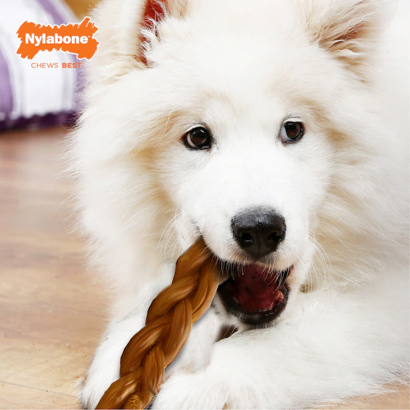 Power Chew Bully Stick Alternative Nylon Chew Dog Toy