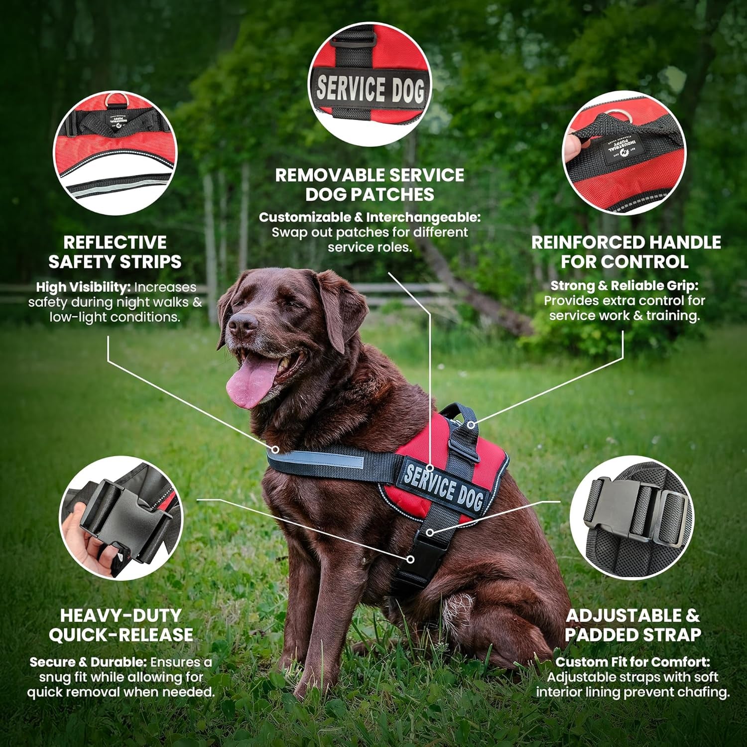Professional Service Dog Vest and Leash Set with Adjustable Hook and Loop Straps - Available in XXS to XXL - Features Reflective Patch and Breathable Mesh Design