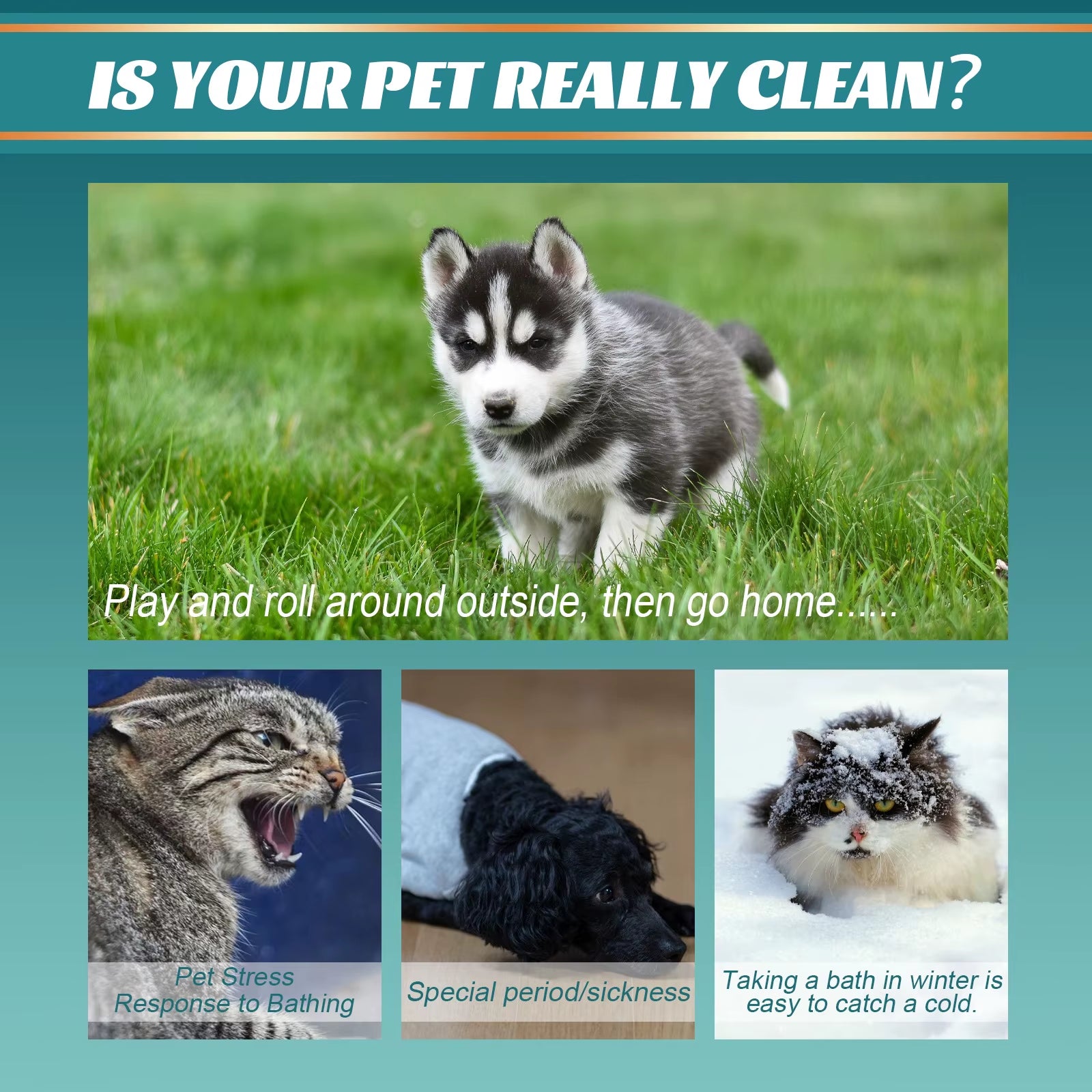 Pet Disposable Cleaning Gloves Wash Free Dog Cat Spa Bathing Deodorant Fleas Tick Removal Antibacterial Cat Dry Cleaning Gloves
