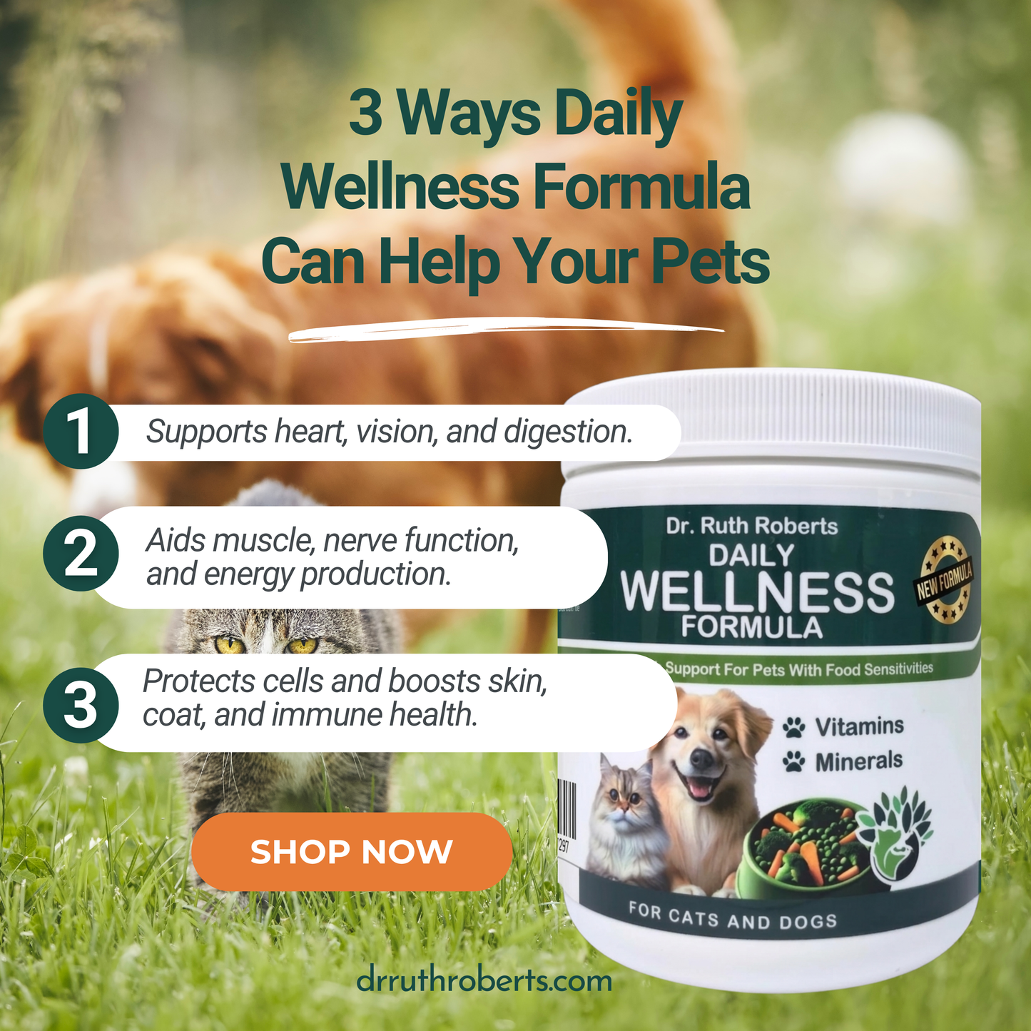 PRE-ORDER Daily Wellness Formula — Glandular-Free Multivitamin for Dogs & Cats with Beef, Pork, or Organ Sensitivities