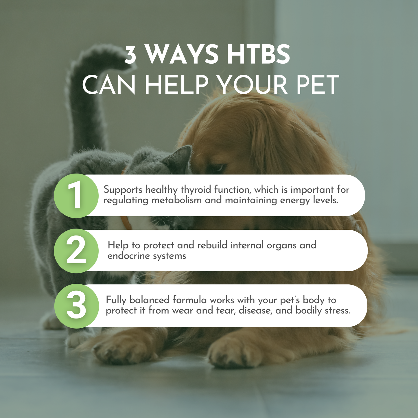 PRE-ORDER Holistic Total Body Support — Daily Multivitamin & Pasture-Raised Glandular Blend for Dogs & Cats