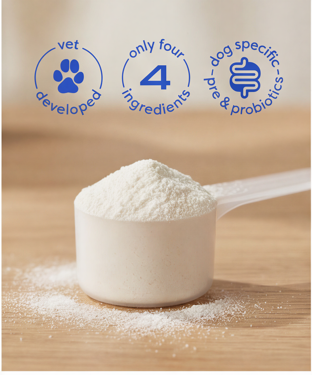 GutGuard™ Dog Probiotic Powder (6 Billion CFU)