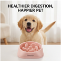 PawPace™ Slow Feeder Bowl