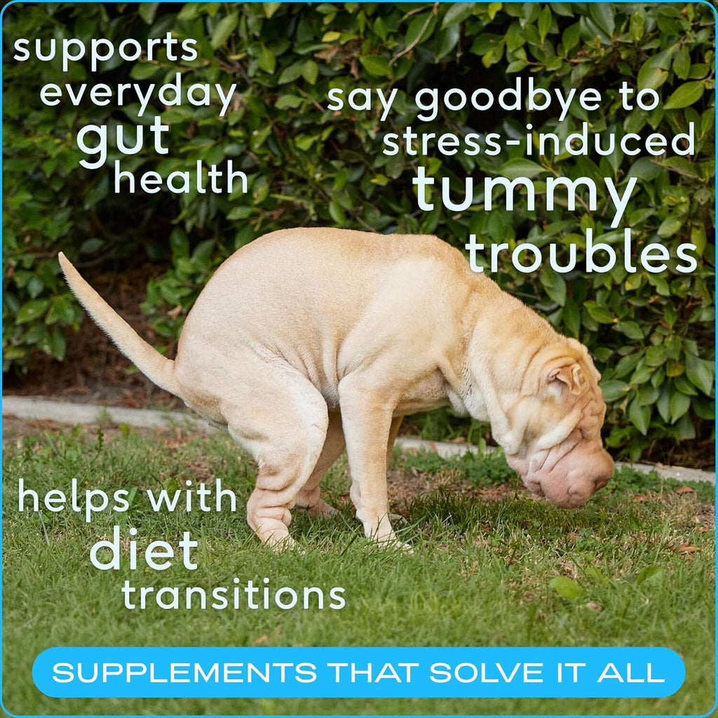 Pet Probiotic for Dogs - Vet Created Probiotic Powder for Digestive Issues - Pro