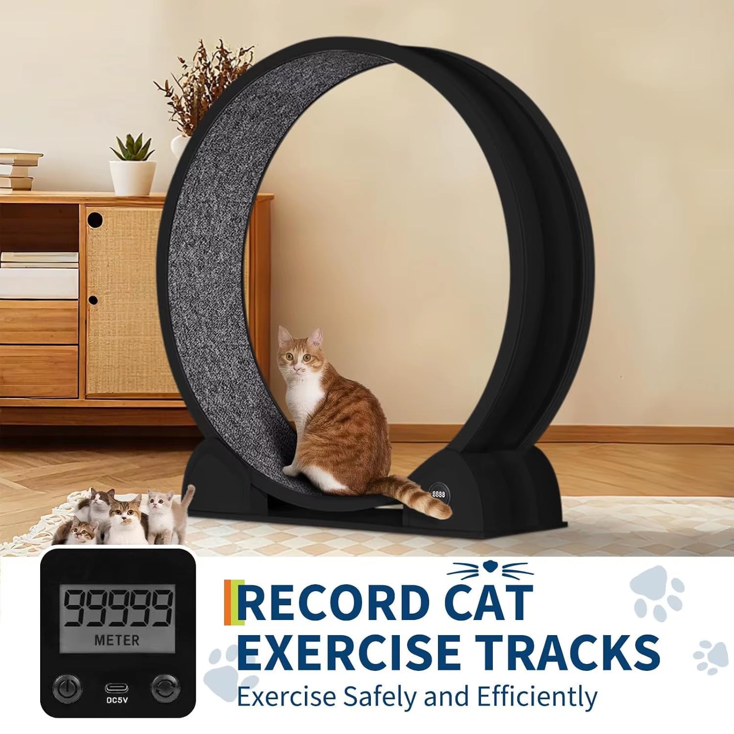 Cat Exercise Wheel 45" Large Treadmill for Indoor Cats Quiet Running Wheel with Smart Pedometer for Running Walking Training